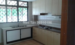 Wellington Park (D20), Terrace #162995722